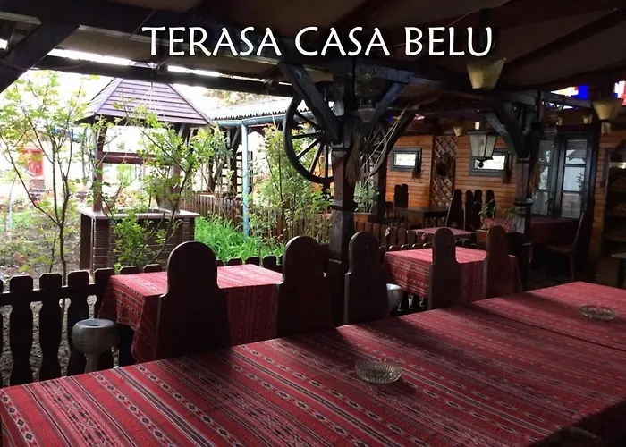 Guest house Casa Belu 3*